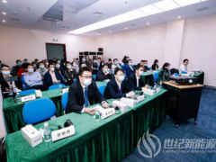 占比半壁江山的中東南部 未來(lái)風(fēng)電開發(fā)具有哪些潛力？